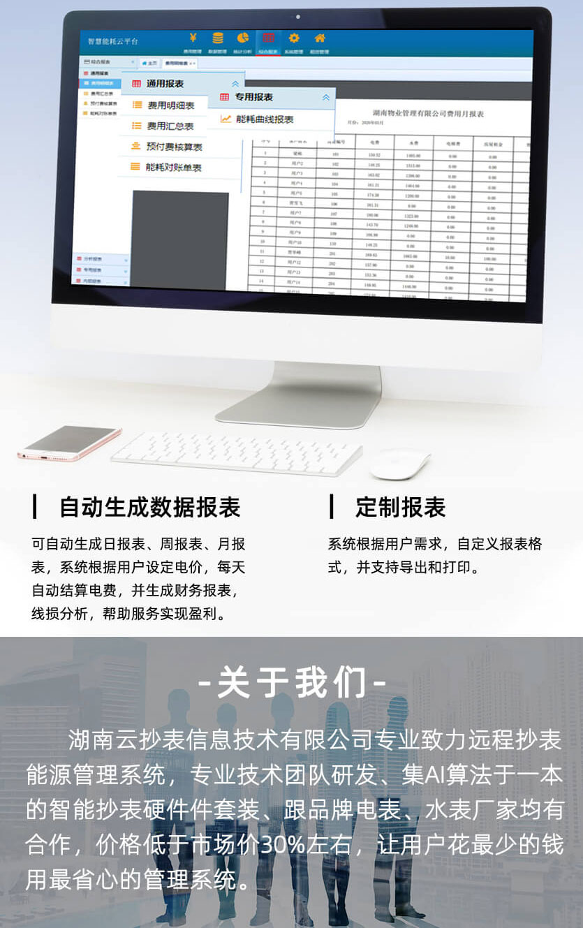 杭州華立DDS28單相有功預(yù)付費電能表